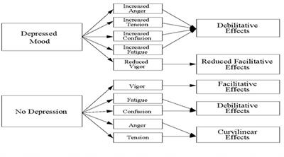 A Test and Extension of Lane and Terry’s (2000) Conceptual Model of Mood-Performance Relationships Using a Large Internet Sample